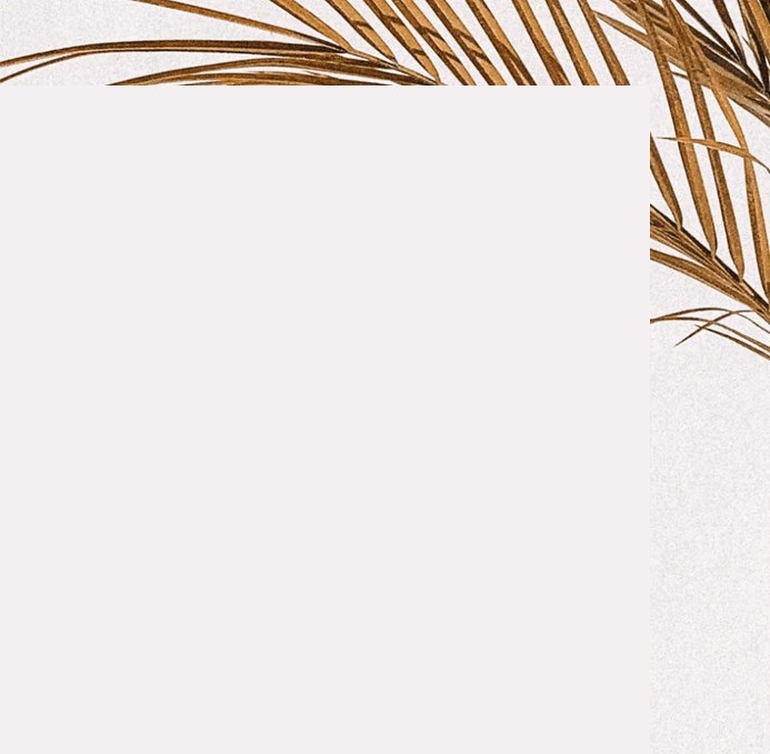Palm leaf accent